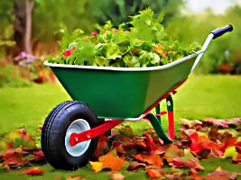 KARUČIAI, VEŽIMĖLIAI