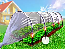 ŠILTLYSVĖ 'PAPRIKA'