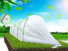 ŠILTLYSVĖ ‘SENELĖS’