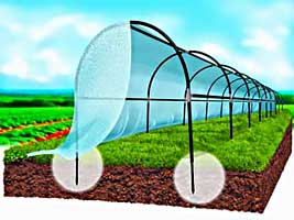 SODO TUNELIS, ŠILTLYSVĖ (agro plėvelę)