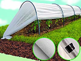 ŠILTLYSVĖ ‘STANDARTAS’