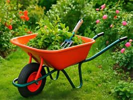 KARUČIAI, VEŽIMĖLIAI